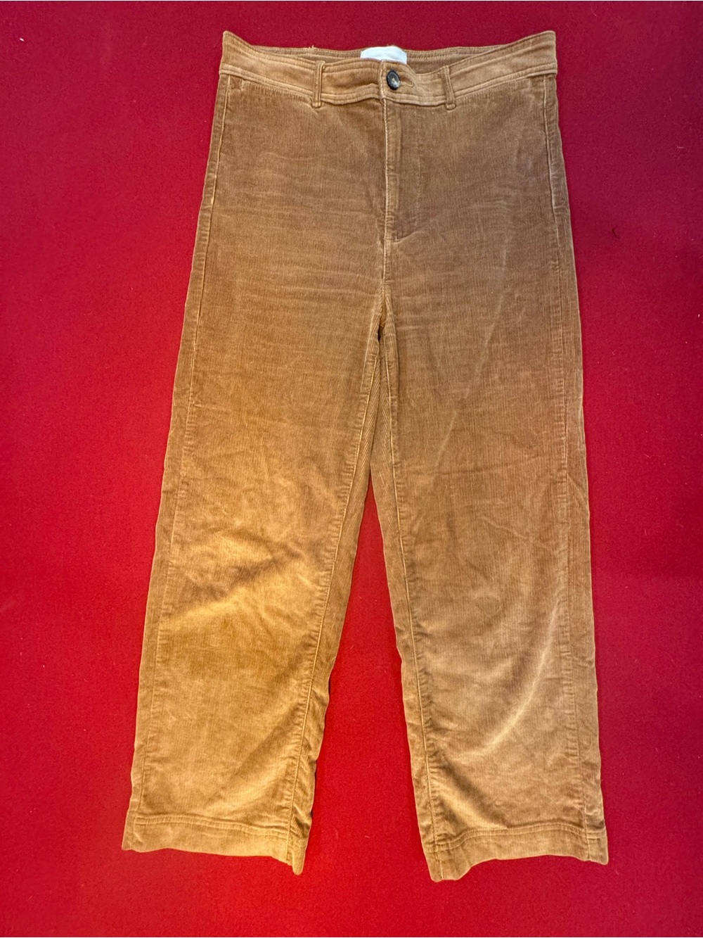 Everlane Corduroy Stove Pipe Trousers in Brown